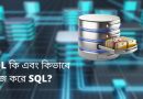 what is sql
