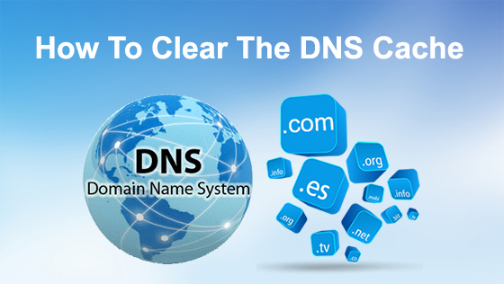 DNS cache Clear